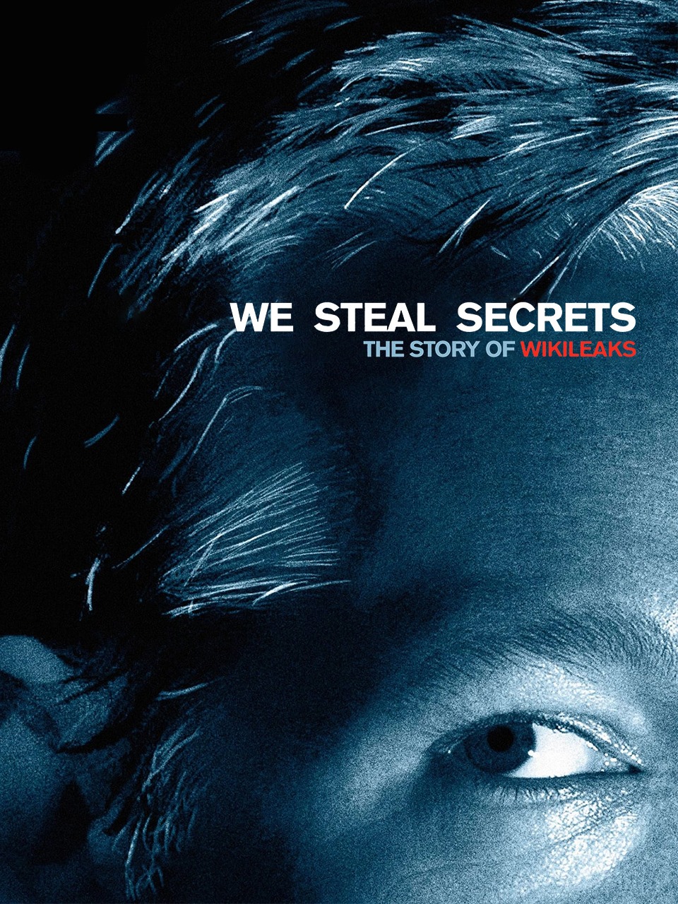 我们窃取秘密:维基解密的故事