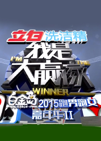 我是大赢家2015