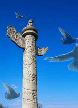 加藤绫野-成熟魅力