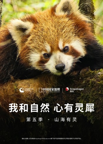 我和自然 心有灵犀 5山海有灵