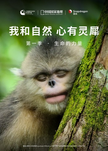 我和自然 心有灵犀 1生命的力量