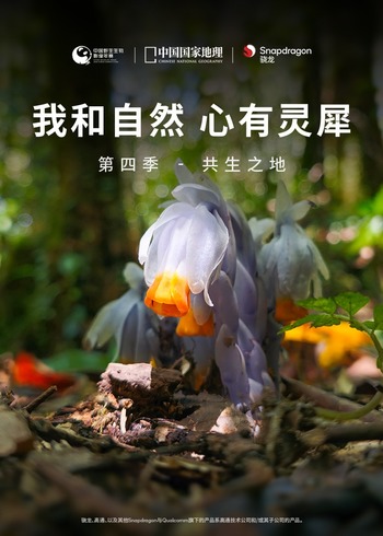 我和自然 心有灵犀 4共生之地