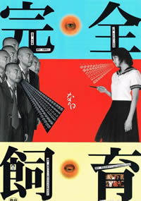 啊灬啊灬快灬高潮了视频